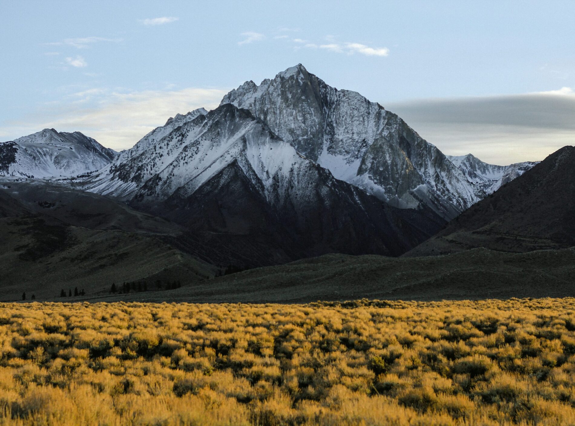 Mountain landscape with snow-capped peaks and grass field